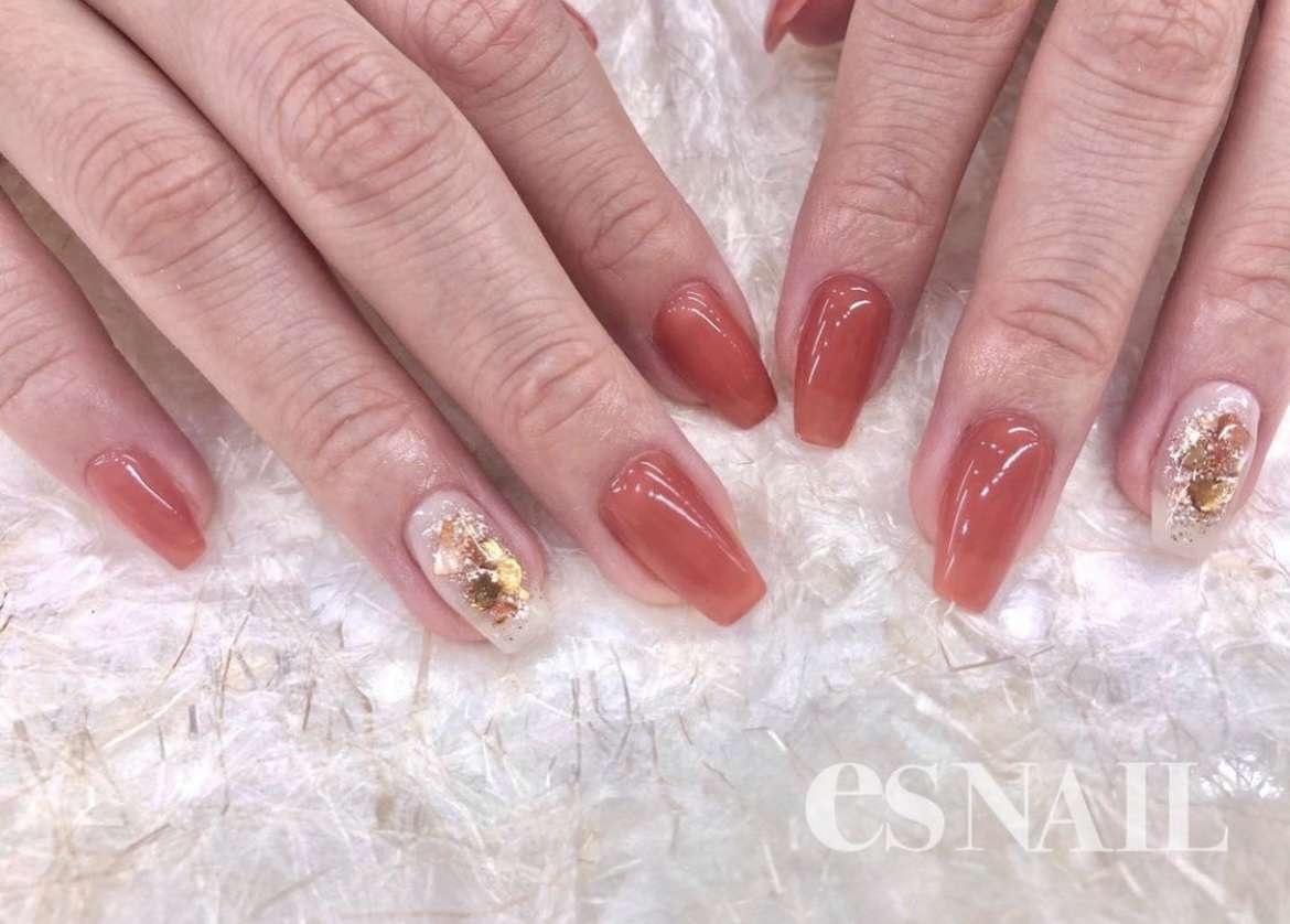 シアーテラコッタ🐚