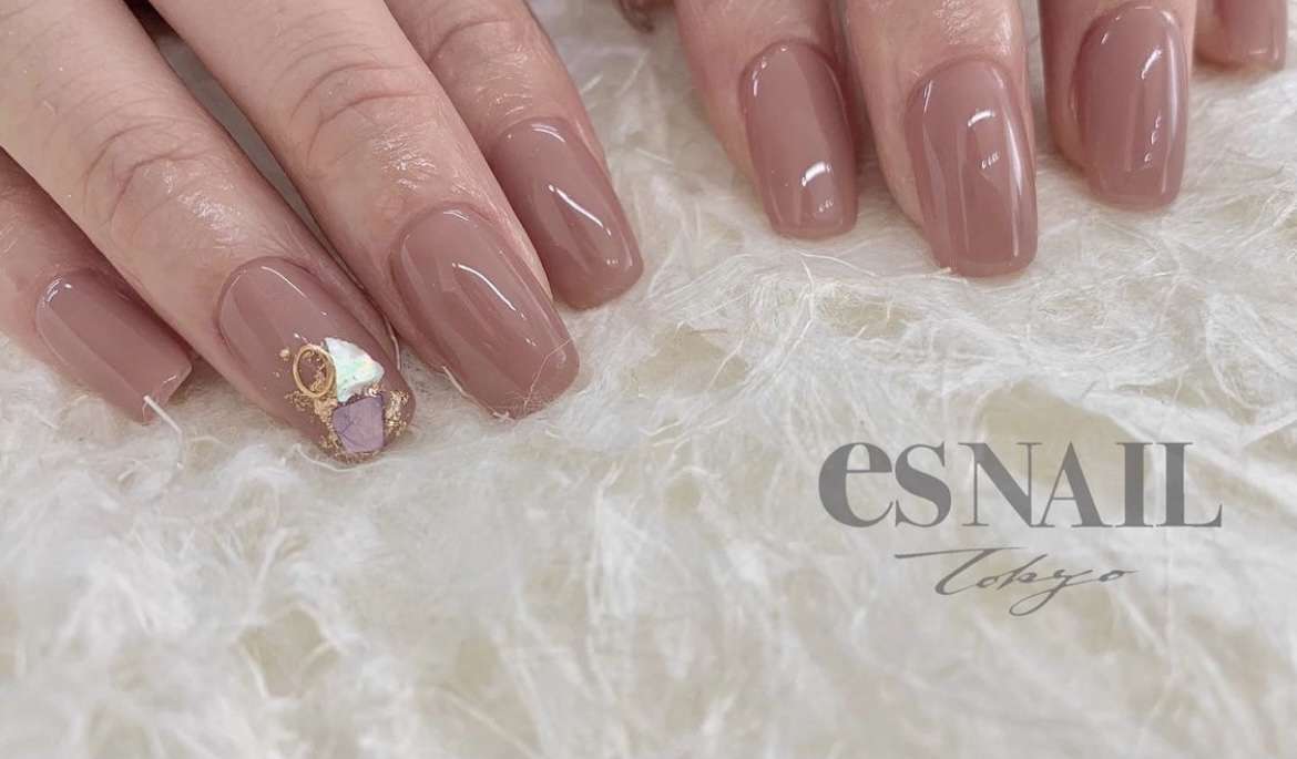 ワンポイントシェル🐚