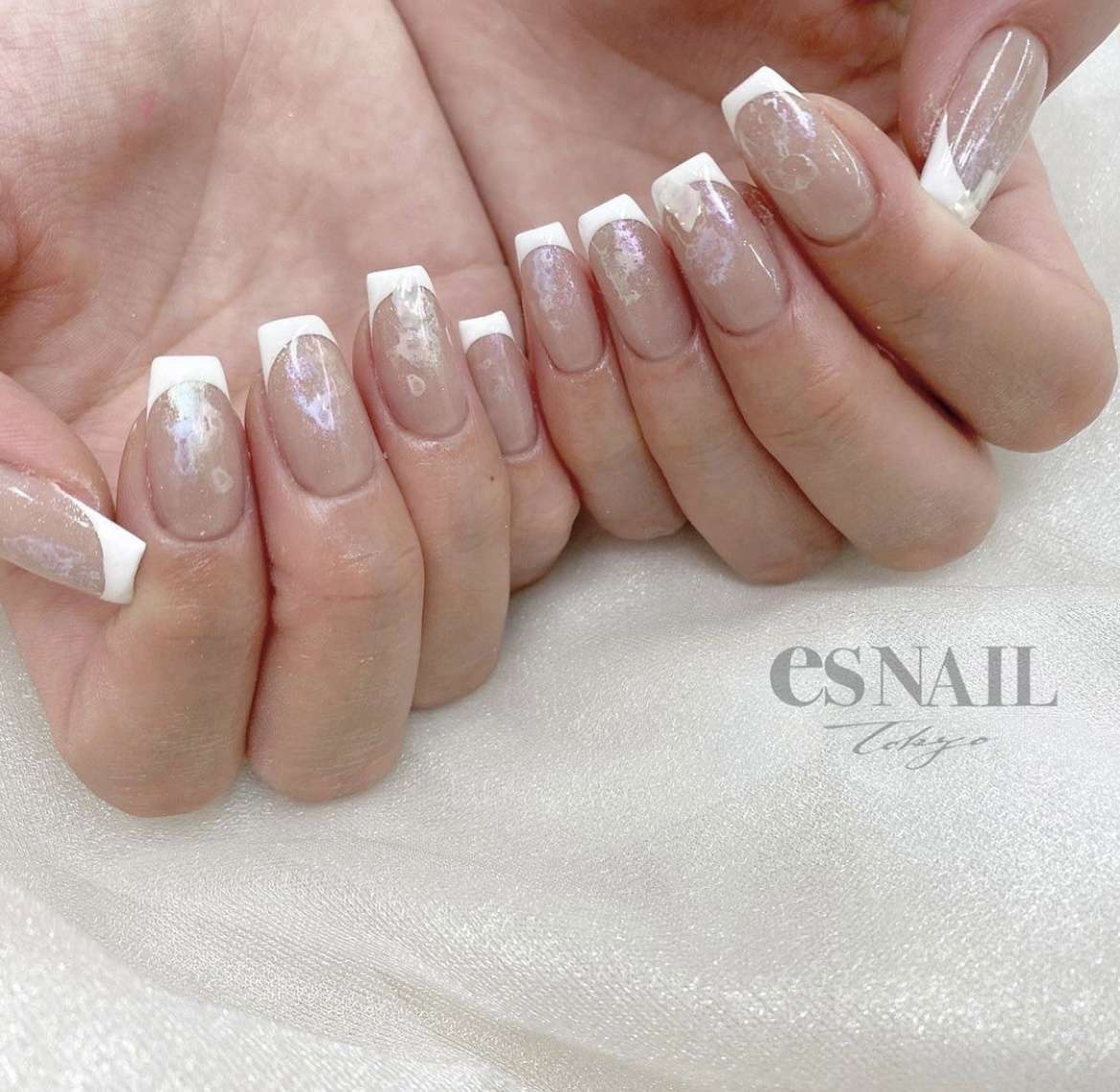 水彩art×French🐚